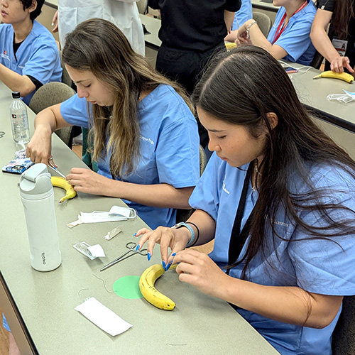 High school students banana suturing